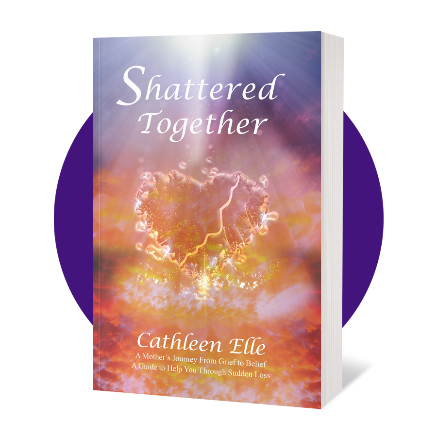 Shattered Together Book